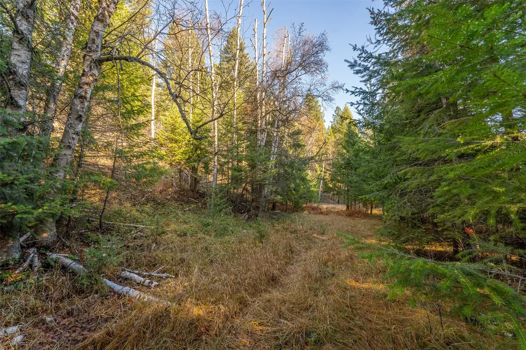156 Peters Creek Way Kalispell MT 59901