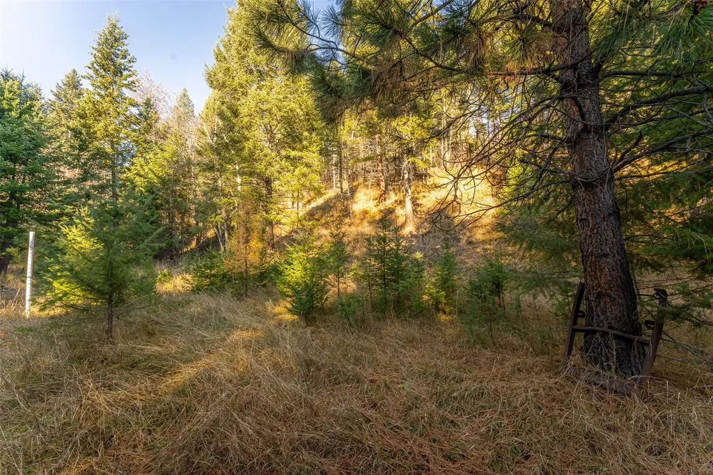 156 Peters Creek Way Kalispell MT 59901