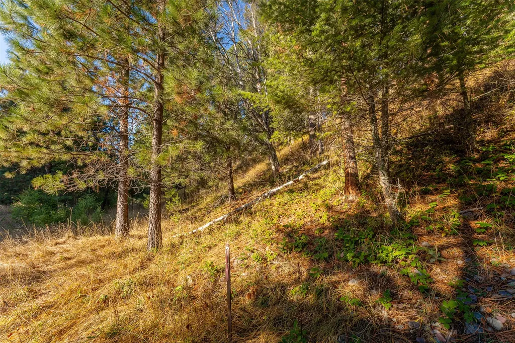 156 Peters Creek Way Kalispell MT 59901