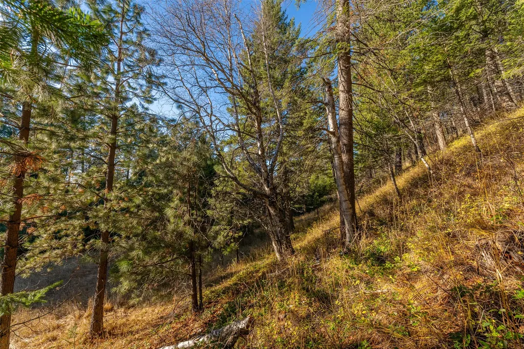 156 Peters Creek Way Kalispell MT 59901