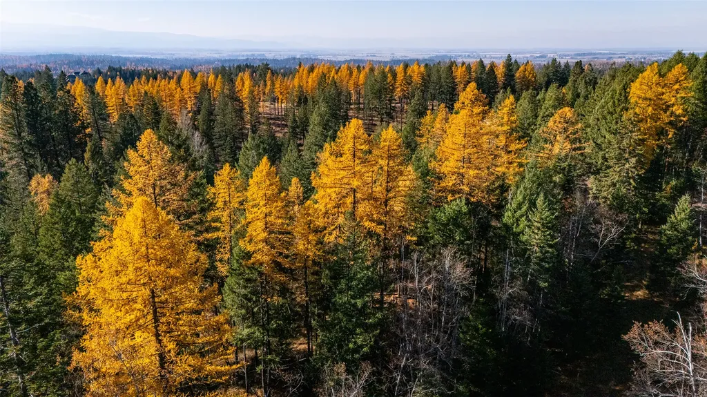 156 Peters Creek Way Kalispell MT 59901