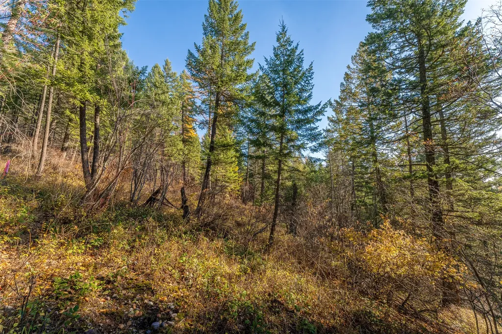 156 Peters Creek Way Kalispell MT 59901