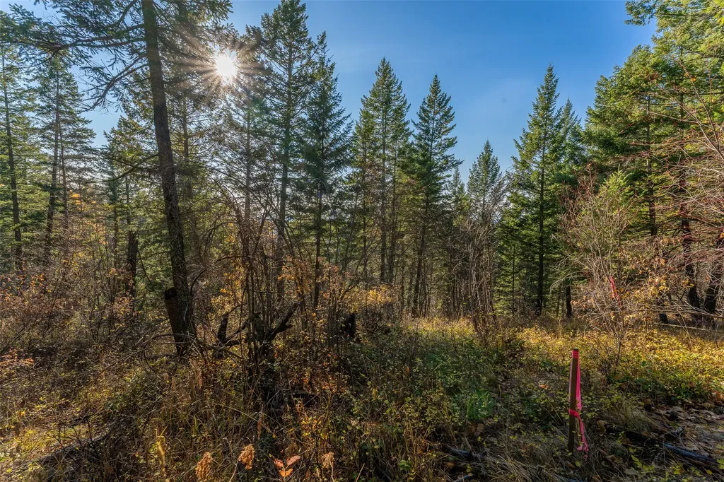 156 Peters Creek Way Kalispell MT 59901