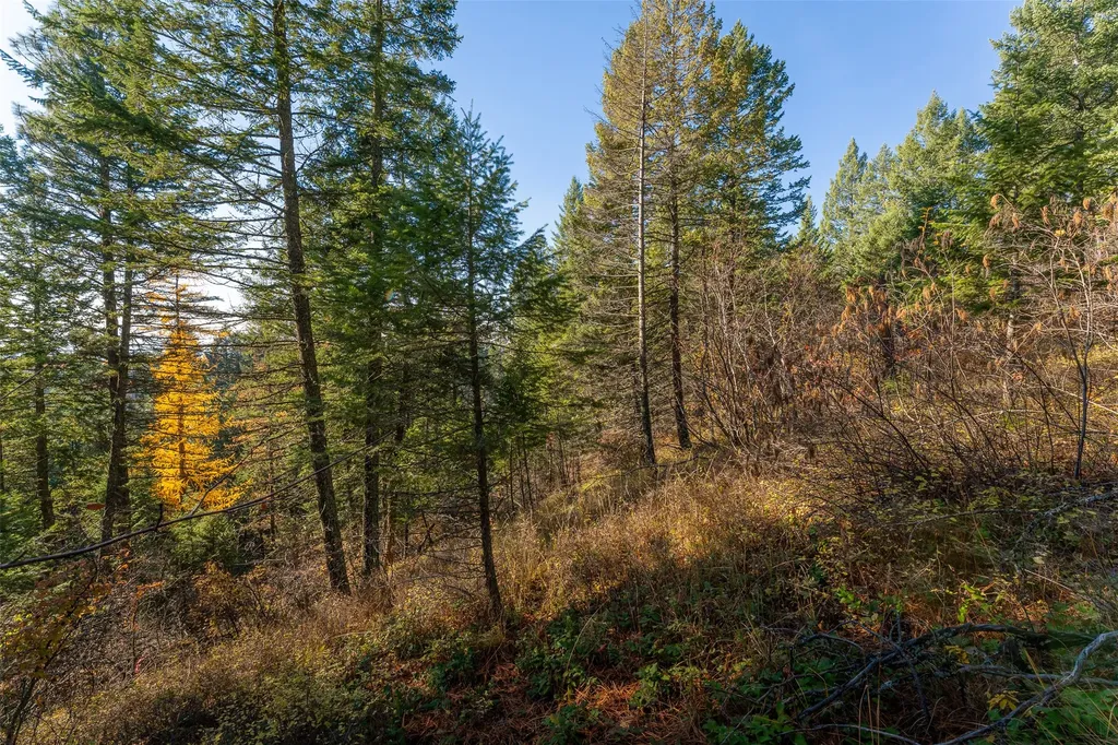 156 Peters Creek Way Kalispell MT 59901