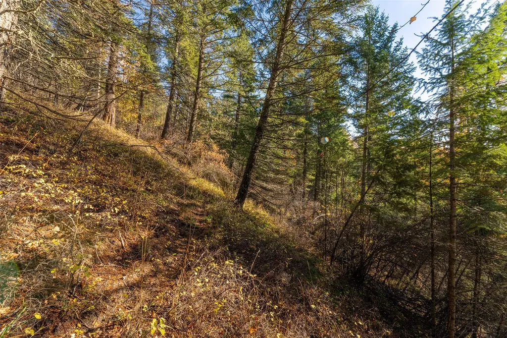 156 Peters Creek Way Kalispell MT 59901
