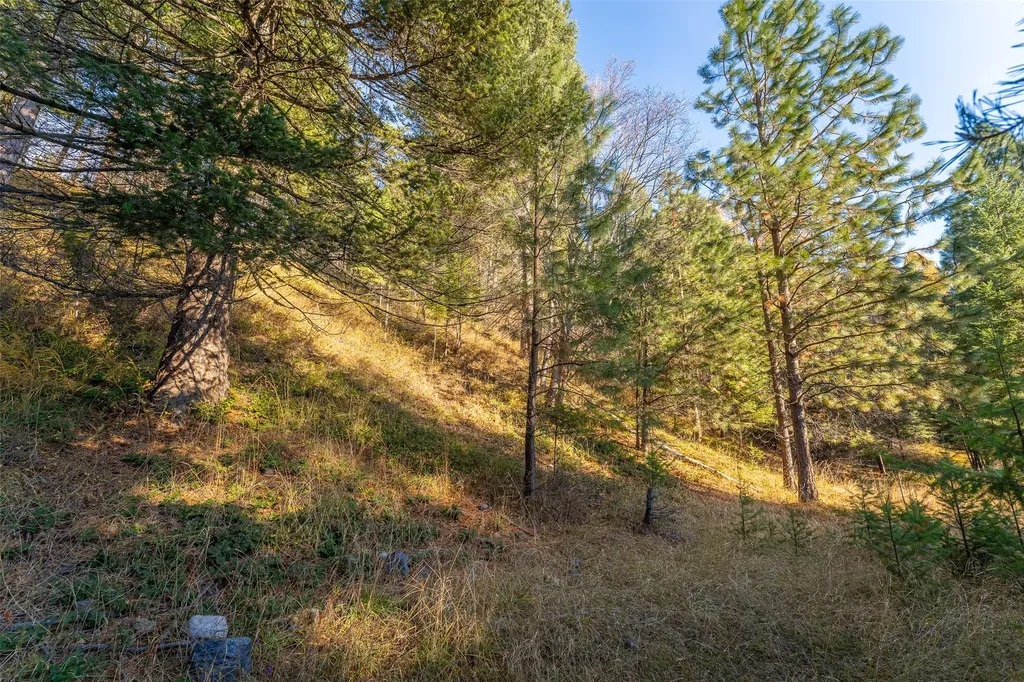 156 Peters Creek Way Kalispell MT 59901