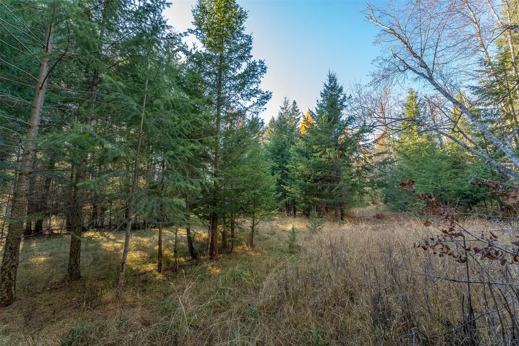 156 Peters Creek Way Kalispell MT 59901