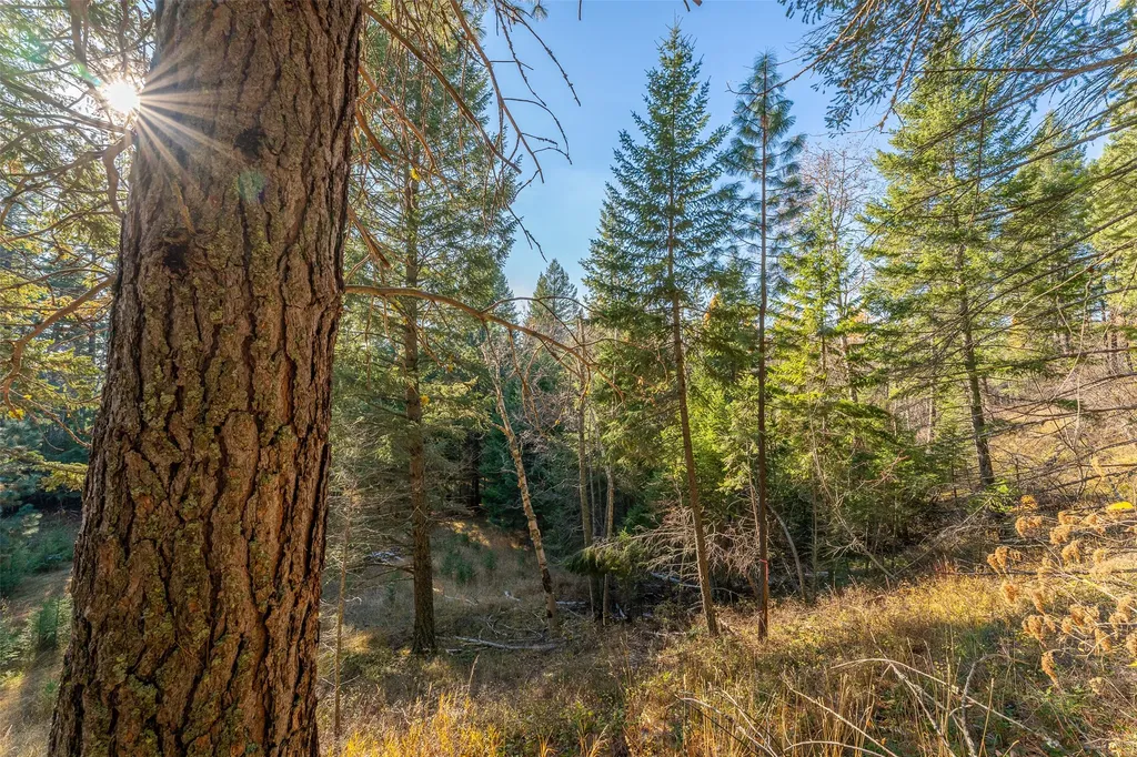 156 Peters Creek Way Kalispell MT 59901