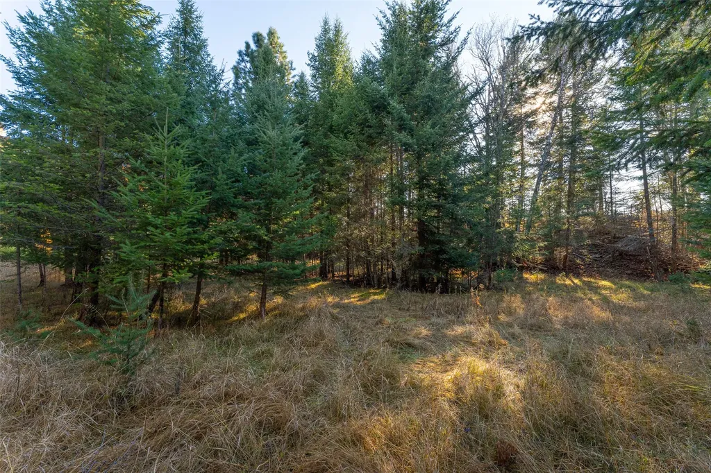 156 Peters Creek Way Kalispell MT 59901