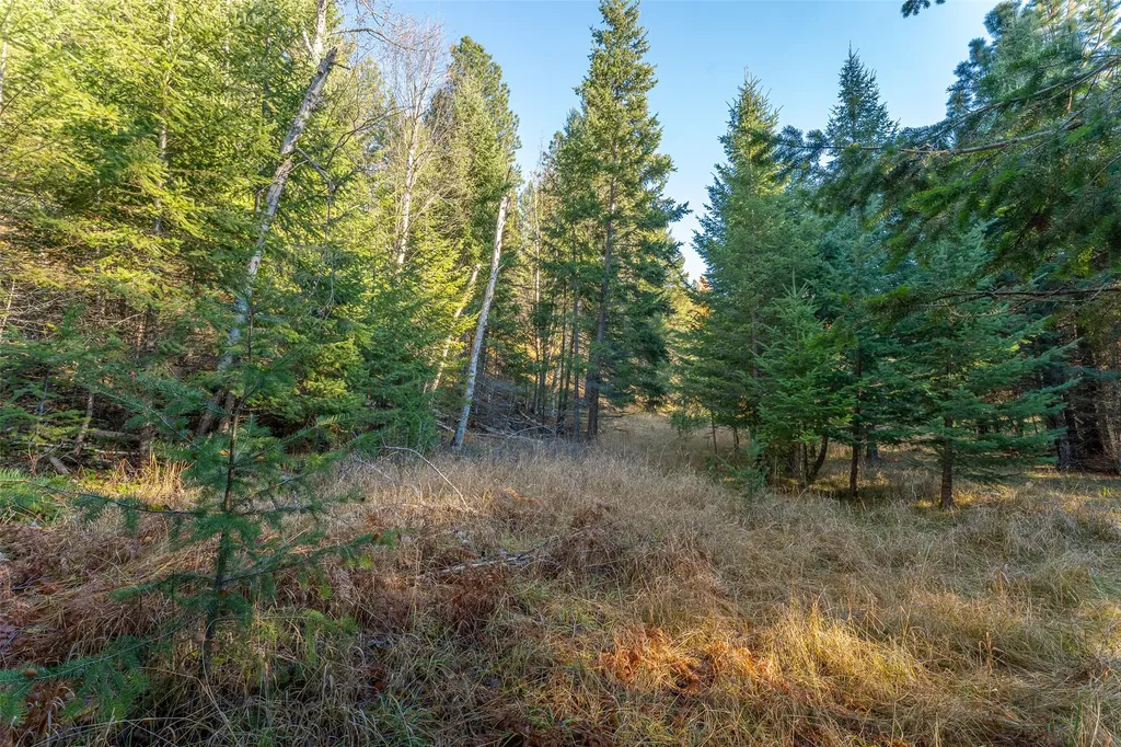 156 Peters Creek Way Kalispell MT 59901