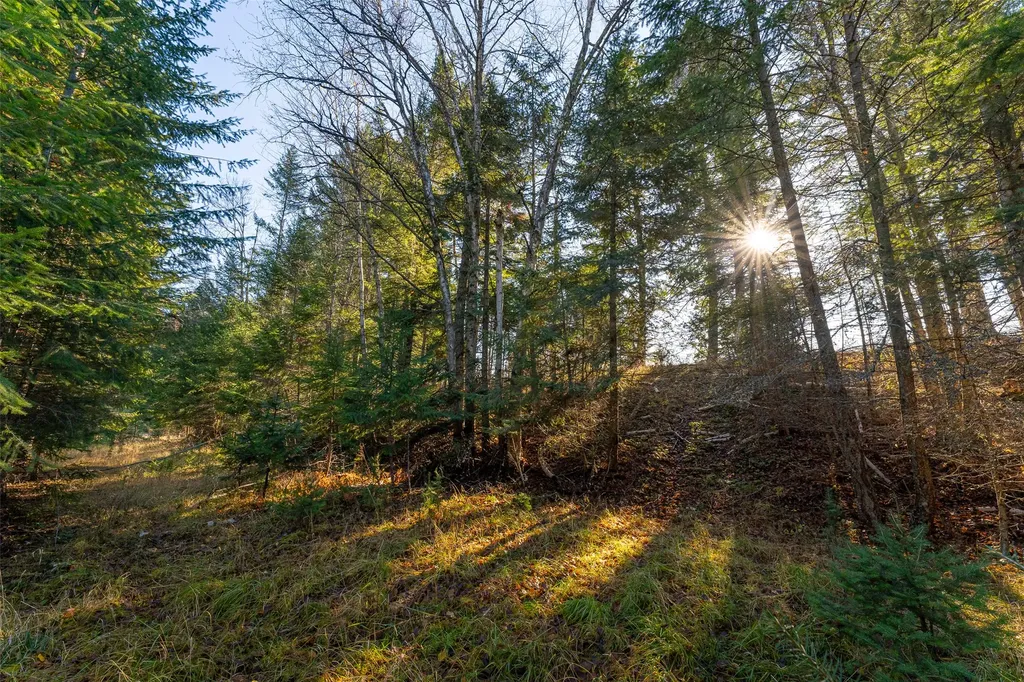 156 Peters Creek Way Kalispell MT 59901
