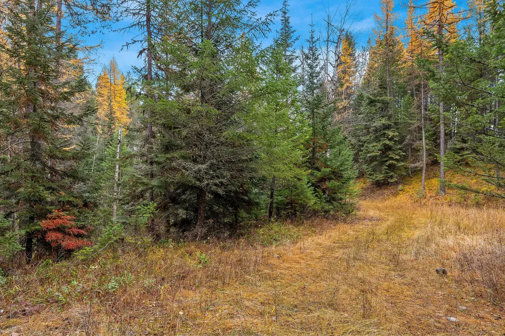 199 E Many Lakes Drive Kalispell MT 59901