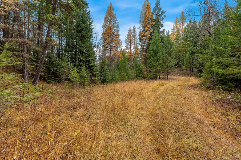 199 E Many Lakes Drive Kalispell MT 59901