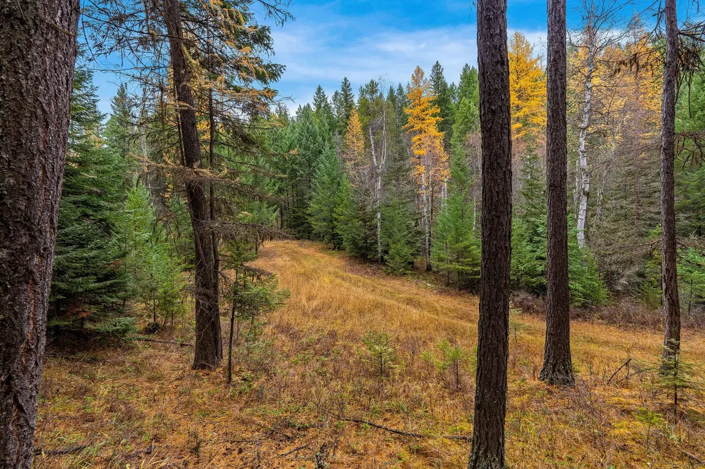 199 E Many Lakes Drive Kalispell MT 59901