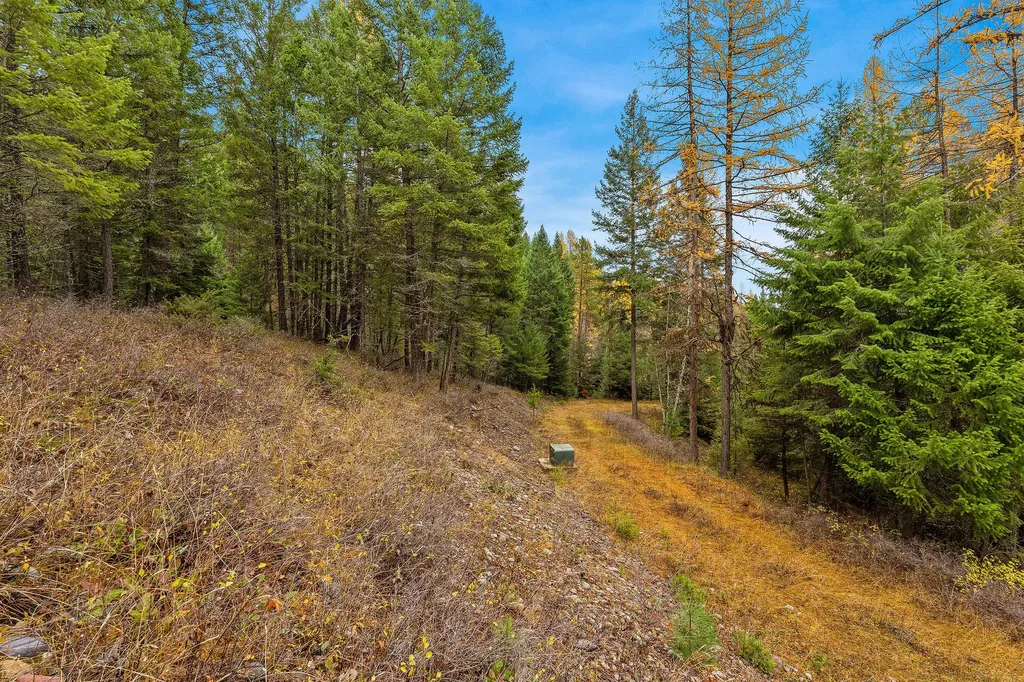 199 E Many Lakes Drive Kalispell MT 59901