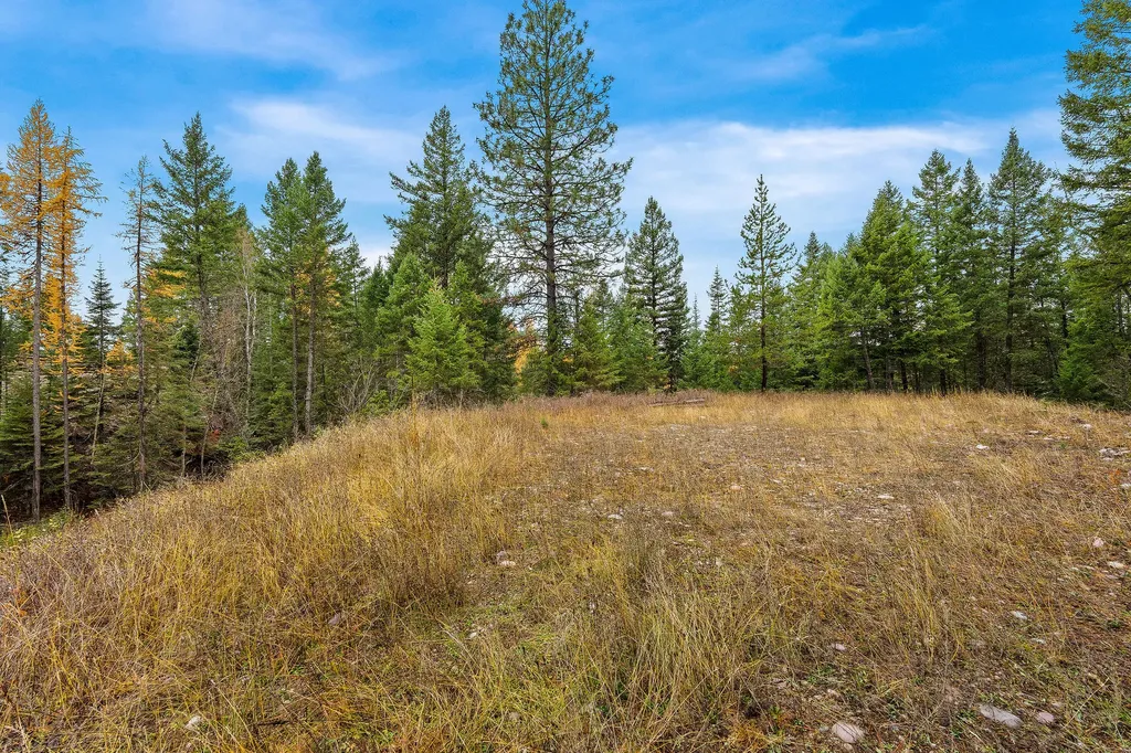 199 E Many Lakes Drive Kalispell MT 59901
