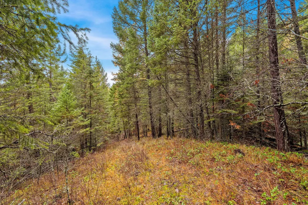 199 E Many Lakes Drive Kalispell MT 59901
