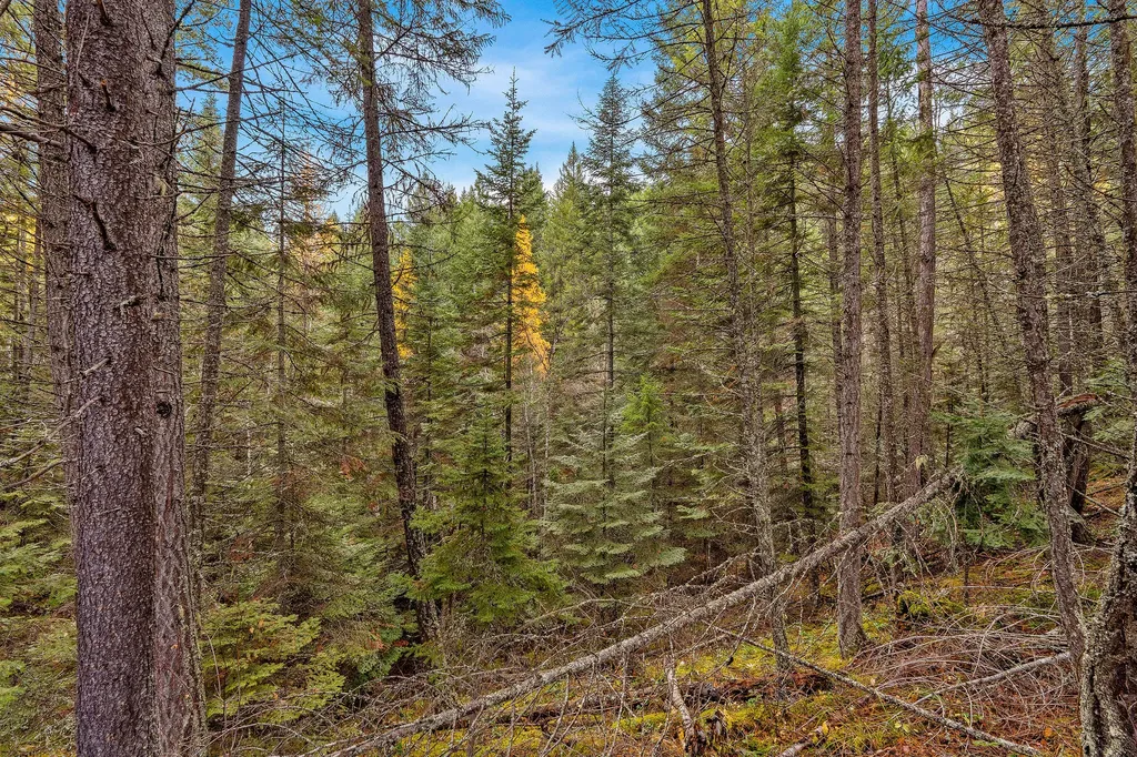 199 E Many Lakes Drive Kalispell MT 59901