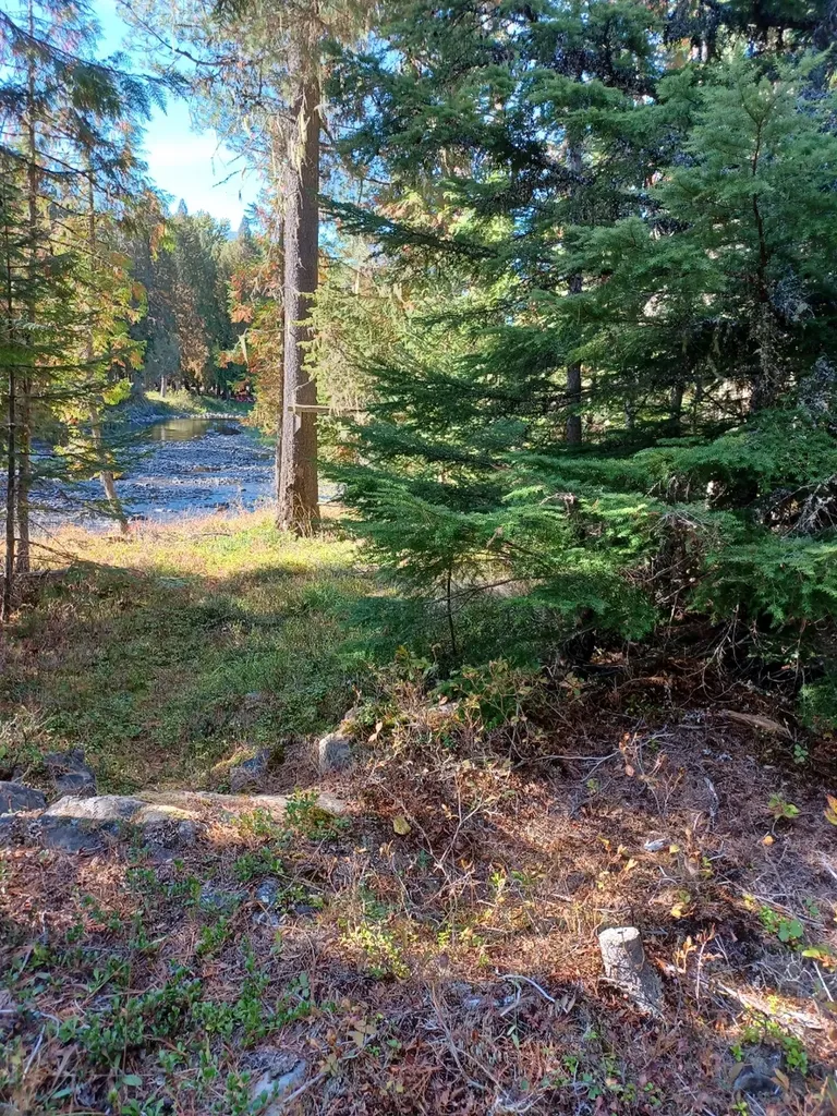 777 Cedars Drive Troy MT 59935