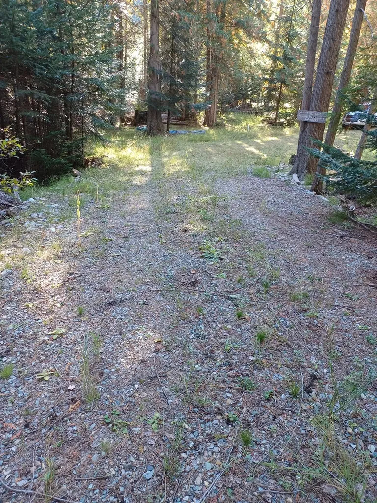 777 Cedars Drive Troy MT 59935