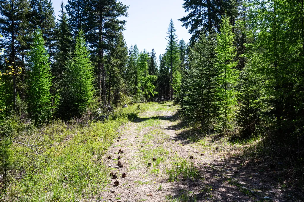 Nhn Open Sky Way Kila MT 59920