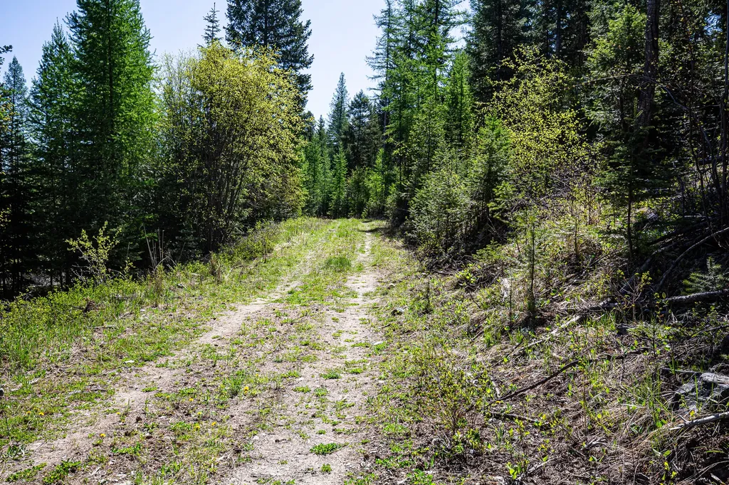 Nhn Open Sky Way Kila MT 59920