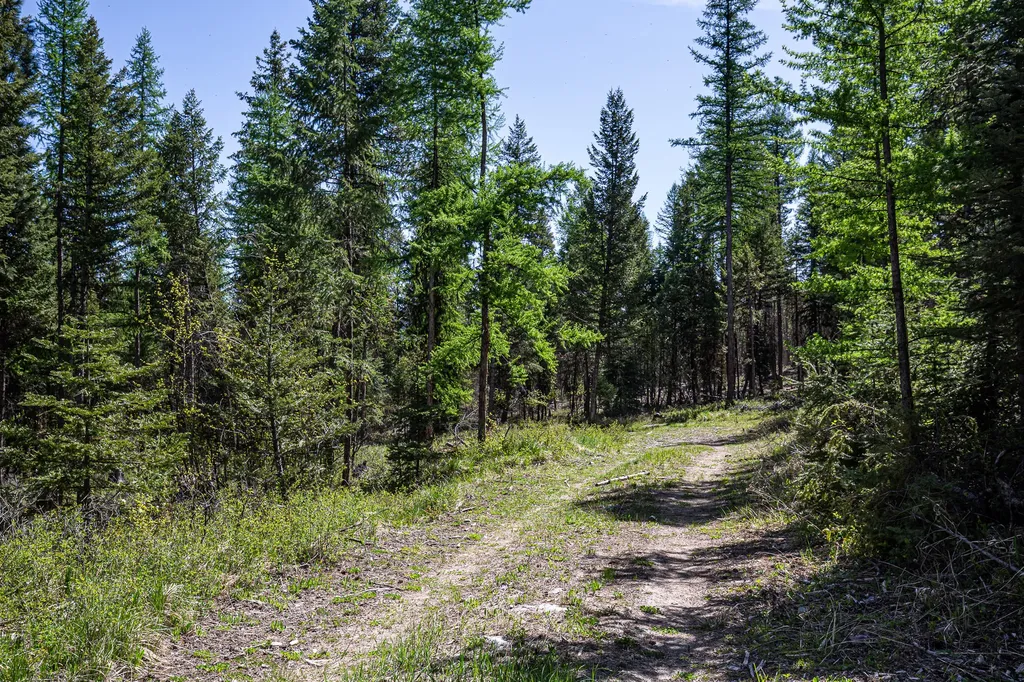 Nhn Open Sky Way Kila MT 59920