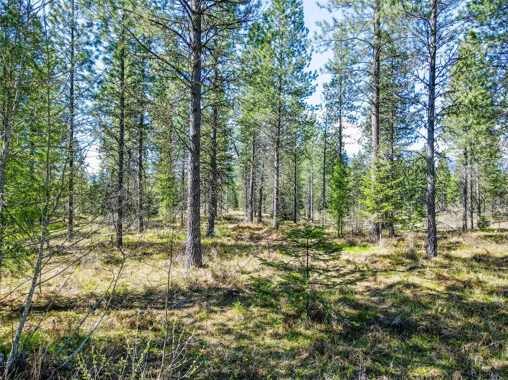44 Crow Court Troy MT 59935