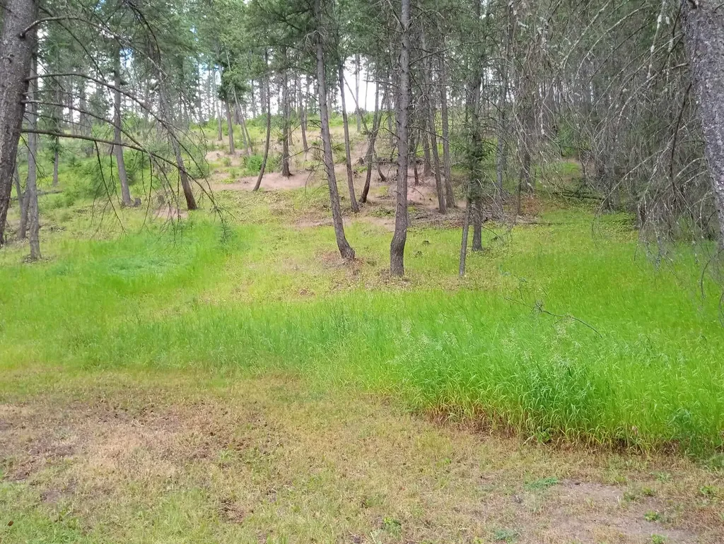 782 Othorp Lake Road Rexford MT 59930