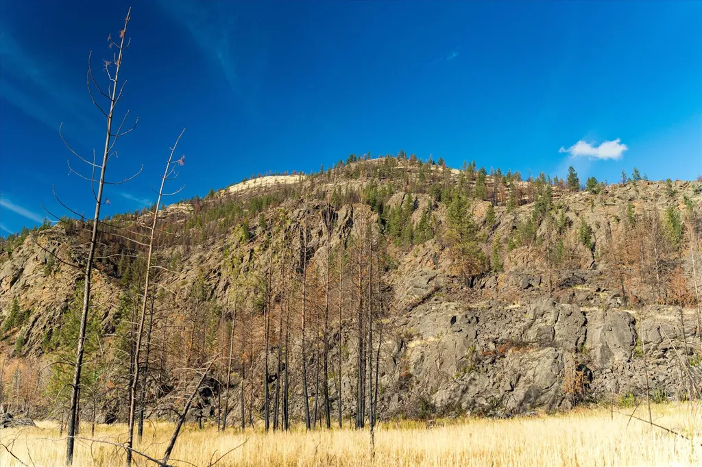 Nhn Mclaughlin Creek Road Paradise MT 59856