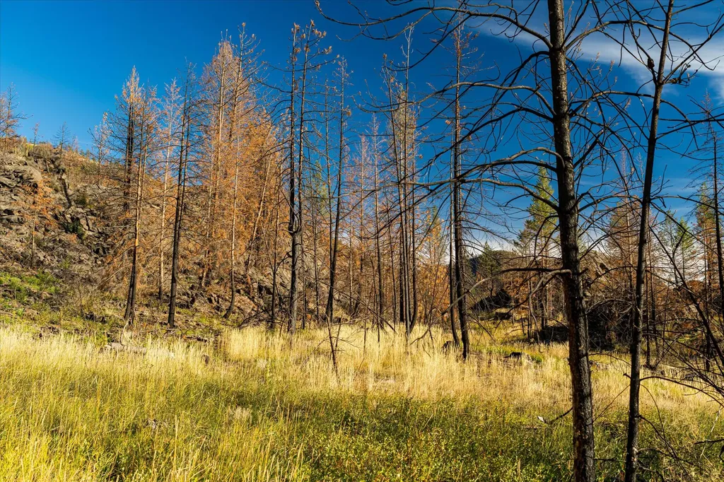 Nhn Mclaughlin Creek Road Paradise MT 59856