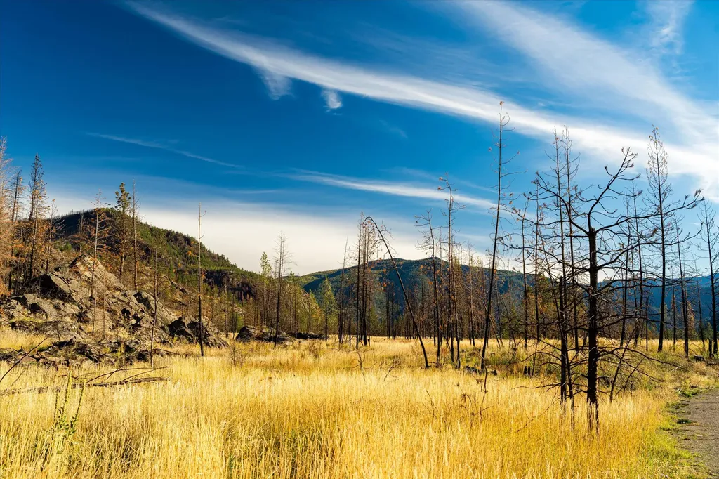 Nhn Mclaughlin Creek Road Paradise MT 59856
