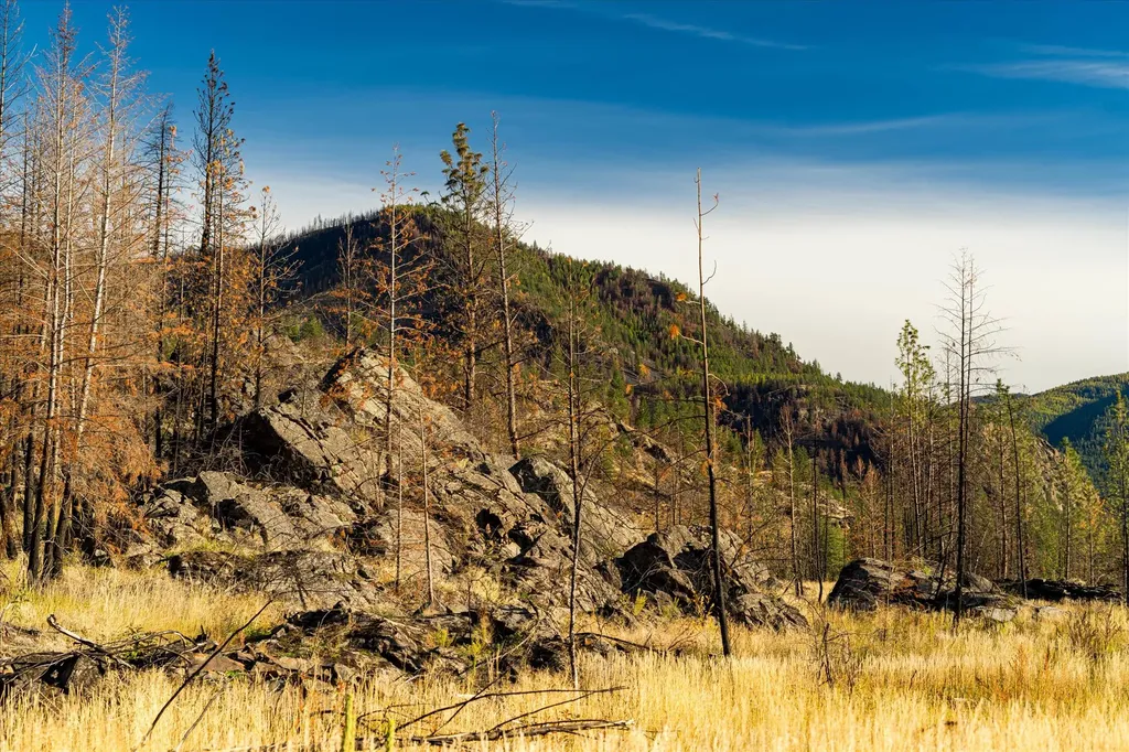 Nhn Mclaughlin Creek Road Paradise MT 59856