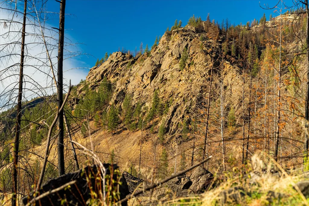 Nhn Mclaughlin Creek Road Paradise MT 59856