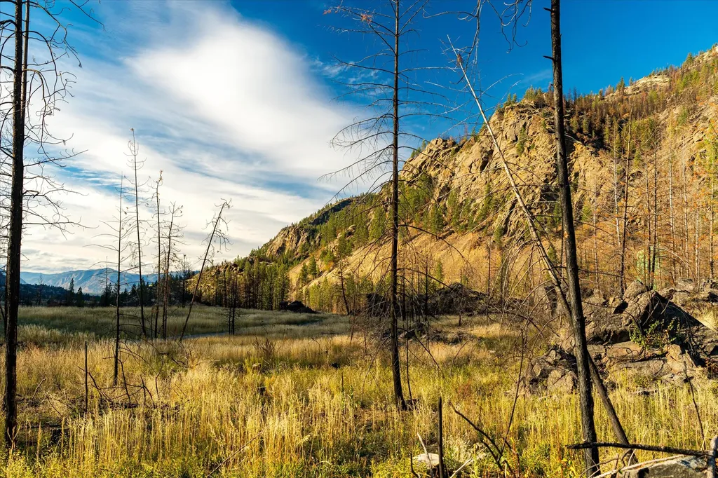 Nhn Mclaughlin Creek Road Paradise MT 59856