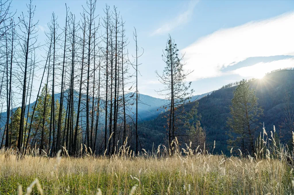 Nhn Mclaughlin Creek Road Paradise MT 59856