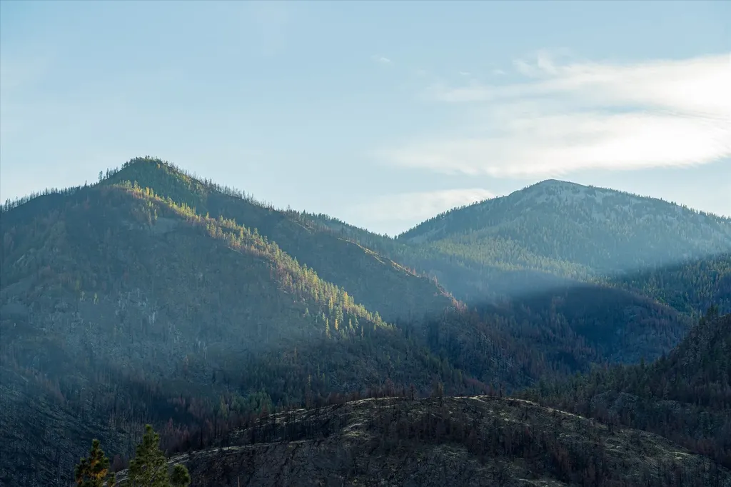 Nhn Mclaughlin Creek Road Paradise MT 59856