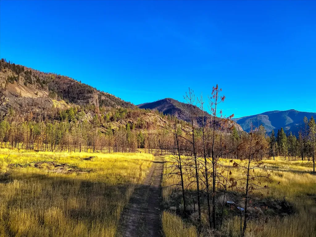 Nhn Mclaughlin Creek Road Paradise MT 59856