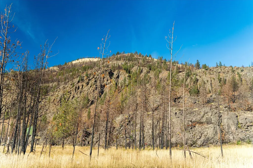 Nhn Mclaughlin Creek Road Paradise MT 59856