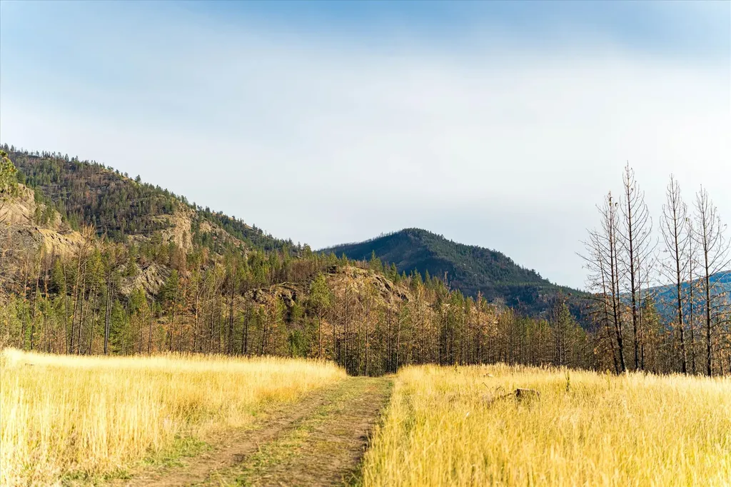 Nhn Mclaughlin Creek Road Paradise MT 59856