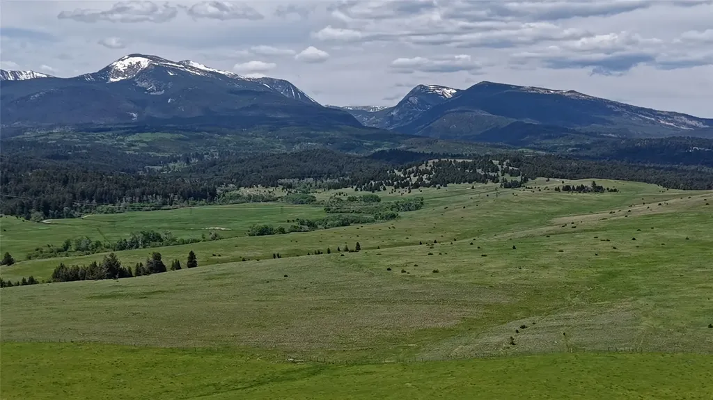 Nhn Lot 10 Willow Creek Loop Road Deer Lodge MT 59722