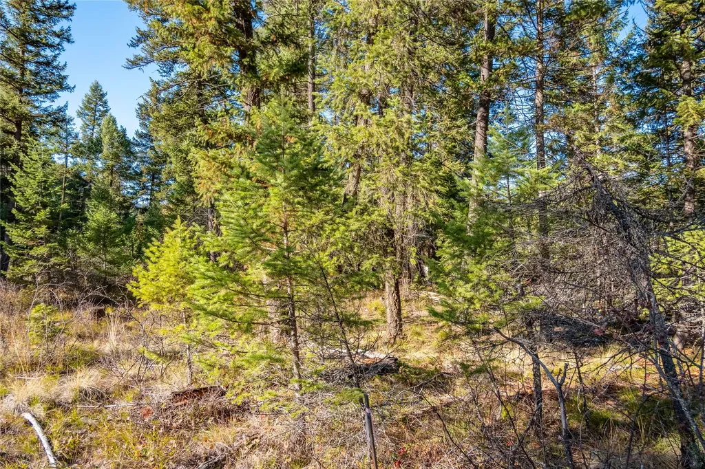 28140 Us Highway 2 Libby MT 59923