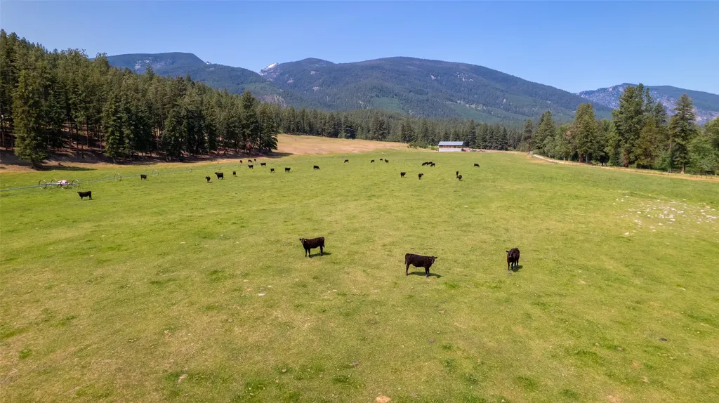 406 Chief Joseph Trail Darby MT 59829