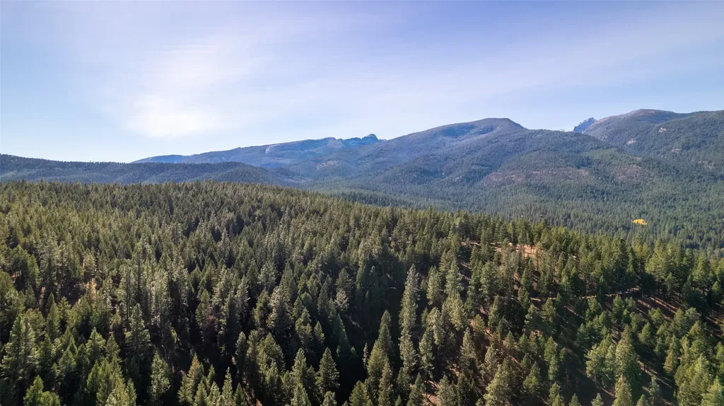 406 Chief Joseph Trail Darby MT 59829