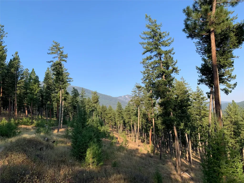 406 Chief Joseph Trail Darby MT 59829