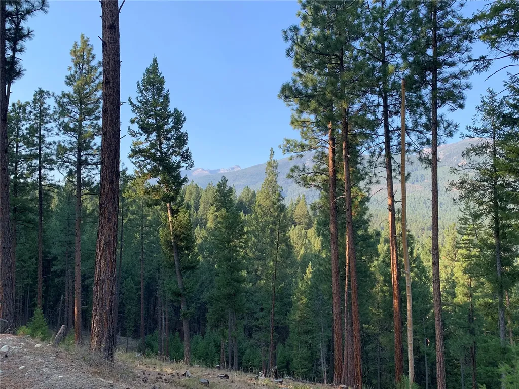 406 Chief Joseph Trail Darby MT 59829