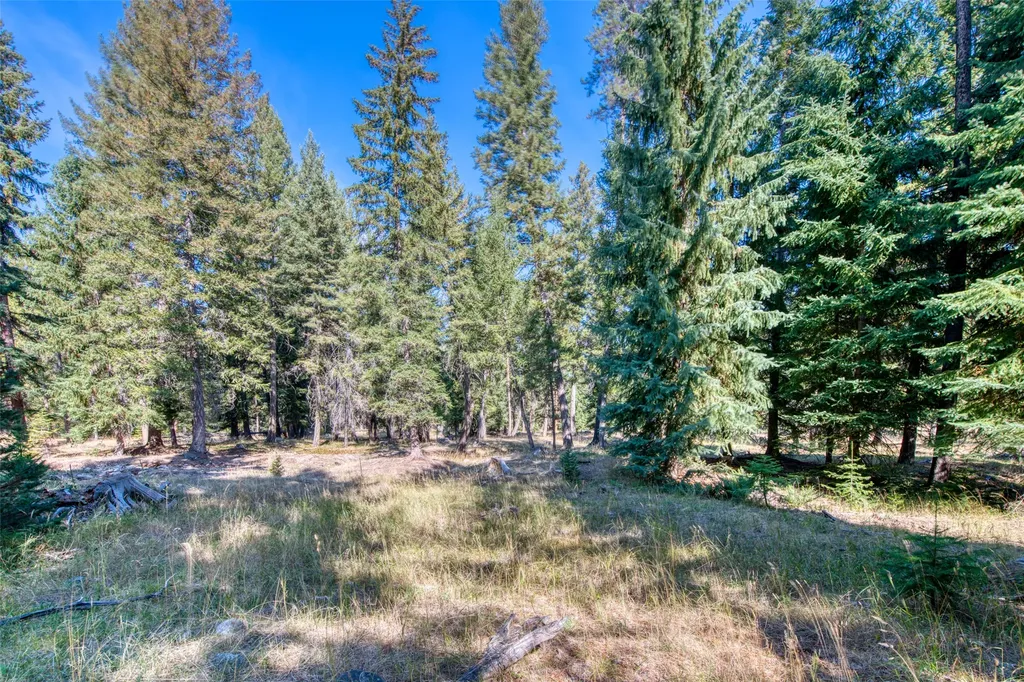 406 Chief Joseph Trail Darby MT 59829