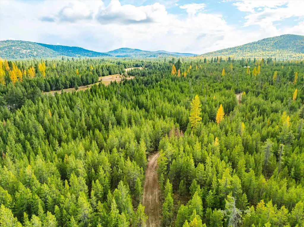 320 Lower Lost Prairie Road Marion MT 59925