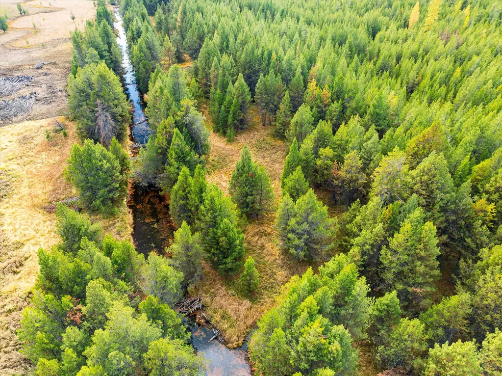 320 Lower Lost Prairie Road Marion MT 59925