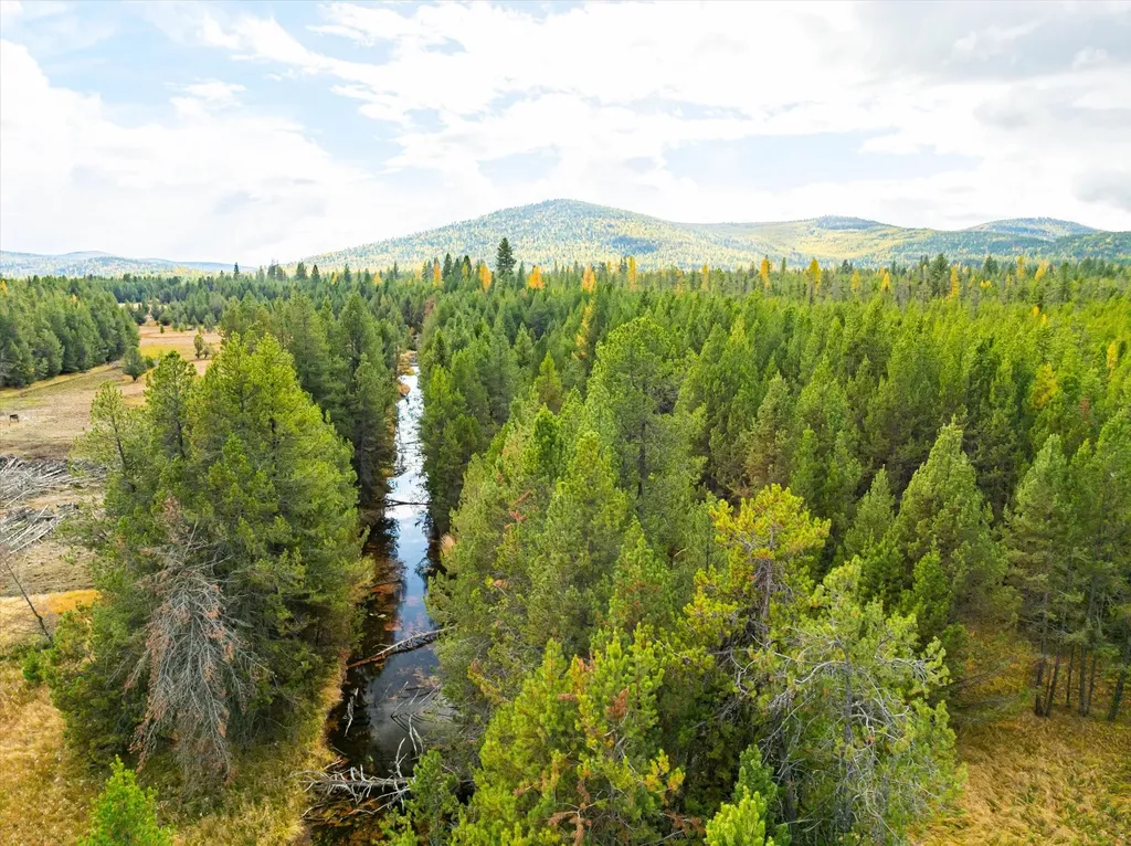 320 Lower Lost Prairie Road Marion MT 59925